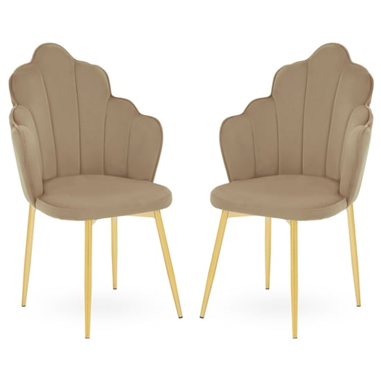 Tania Mink Velvet Dining Chairs With Gold Legs In A Pair